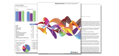 Cover of 2013 Annual Report